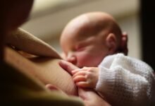 family life tips explored