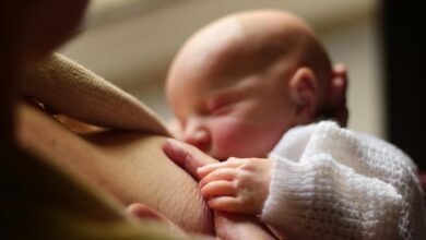 family life tips explored
