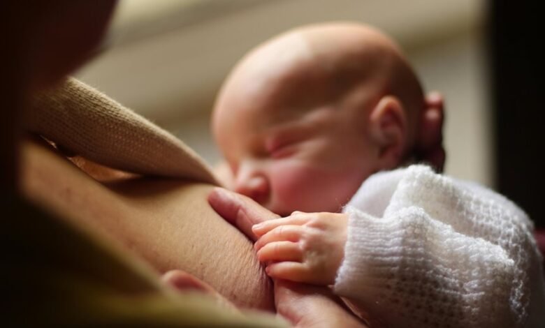 family life tips explored