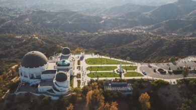 hollywood profile overview details