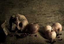 ingredients and uses detailed