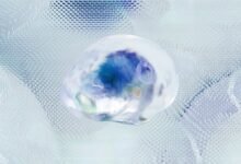 apex crest neural wave