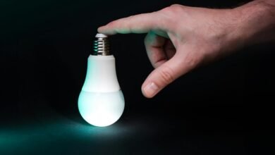 empower ideas contact number 8773661520