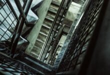 vertex beam 919611564 dynamic path