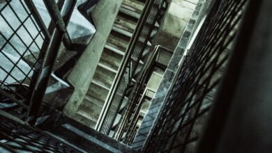 vertex beam 919611564 dynamic path