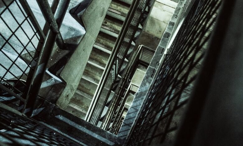 vertex beam 919611564 dynamic path