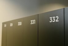 titan vertex intelligence registry identifiers